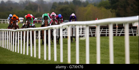 Horse Racing - Festival 2015 Punchestown - Bibby Financial Services Ireland Gold Cup de Punchestown Jour - Punchestown Racecourse Banque D'Images