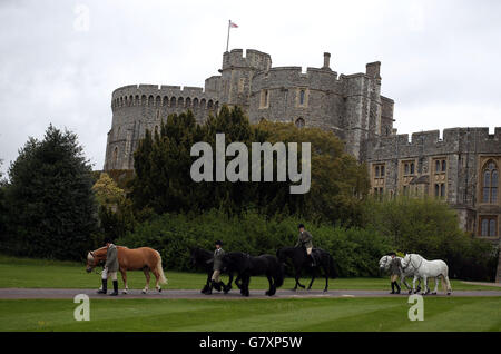 Les chevaux de la Reine (de gauche à droite) : Anson, Dawn, Emma, George (du nom du père de la reine Elizabeth II), Alpine et Mingulay, avec des marié (de gauche à droite) : Christopher Allen, Sadie Henderson, Zoe McDonald et Harriet White, sur le terrain privé du château de Windsor, devant le plus grand spectacle équestre en plein air du pays, le Royal Windsor Horse Show, qui a lieu cette semaine. La Reine, qui a assisté au spectacle chaque année depuis son début en 1943, a plusieurs entrées, y compris ses Highlands élevés à la maison et son ancien cheval de course, Barber's Shop. Banque D'Images