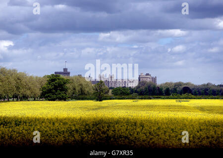 Temps de printemps 12 mai 2015 Banque D'Images