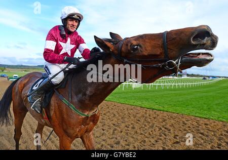 Horse Racing - Festival 2015 Punchestown - Boylesports Chase Champion Jour - Punchestown Racecourse Banque D'Images