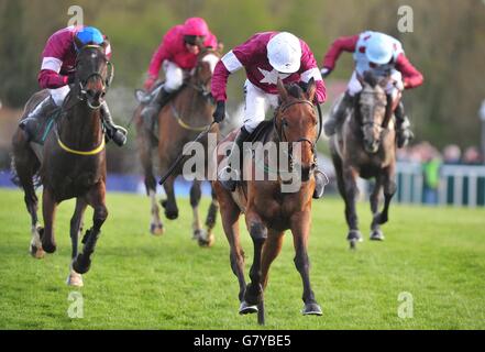 Horse Racing - Festival 2015 Punchestown - Boylesports Chase Champion Jour - Punchestown Racecourse Banque D'Images