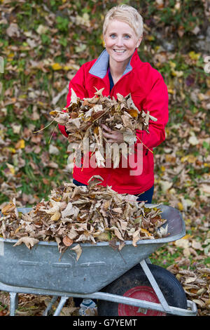 Jardinage, woman putting feuilles dans une brouette Banque D'Images