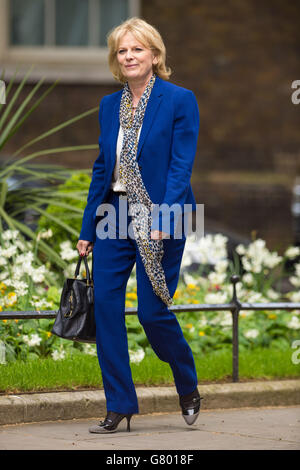 Anna Soubry arrive au 10 Downing Street à Londres, elle a été déplacée de côté de ministre d'État à la Défense à ministre d'État au Département des affaires, de l'innovation et des compétences, où elle aura la responsabilité de la petite entreprise. Banque D'Images