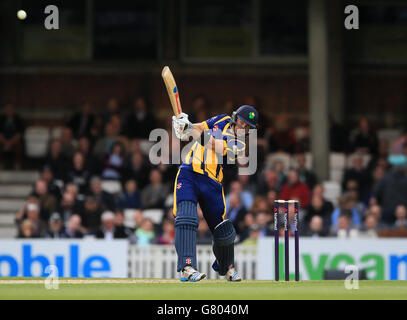 Colin Ingram de Glamorgan dans une action de coups de bâton contre Surrey. Banque D'Images