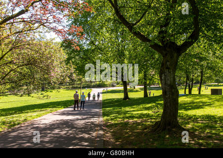 Le parc Grugapark Essen en Allemagne, un parc municipal dans le centre-ville, avec beaucoup de plantes, les jardins, les animaux et l'activité de loisirs Banque D'Images