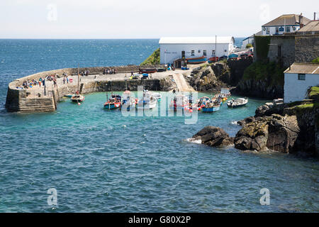 Bateaux de pêche dans le port de Coverack, Péninsule du Lézard, Cornwall, England, UK Banque D'Images