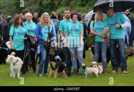 Les chiens et leurs propriétaires prennent part à une promenade en chiens de 5k RSPCA sponsorisée à Alexandra Palace à Londres. Banque D'Images