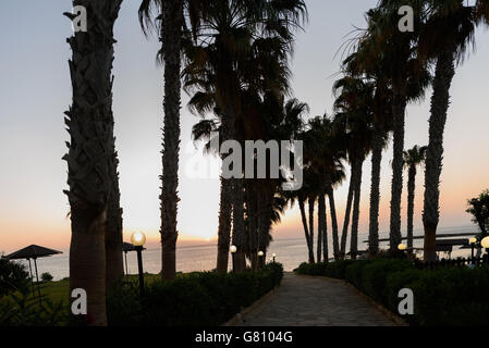 Palmiers au lever du soleil, à la plage de Protaras, Chypre Banque D'Images