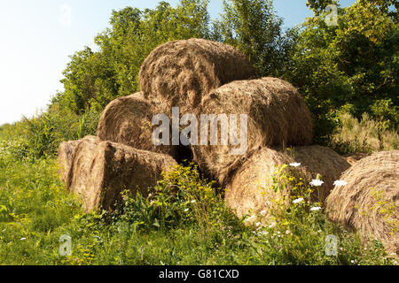 Paysage rural au cours de la saison estivale avec haye bales Banque D'Images