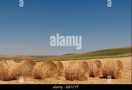 Paysage rural au cours de la saison estivale avec haye bales Banque D'Images