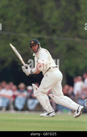 Match de cricket - Tour - le duc de Norfolk XI v Australie Banque D'Images