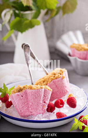 Cheesecake Framboise crème glace pops Banque D'Images