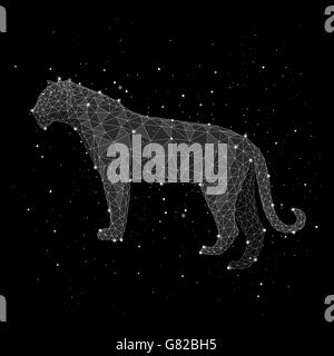 Illustration de leopard formant constellation sur fond noir Banque D'Images