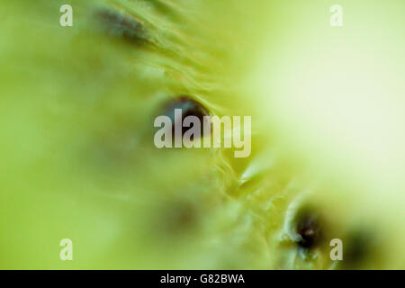Extreme close-up of kiwi Banque D'Images