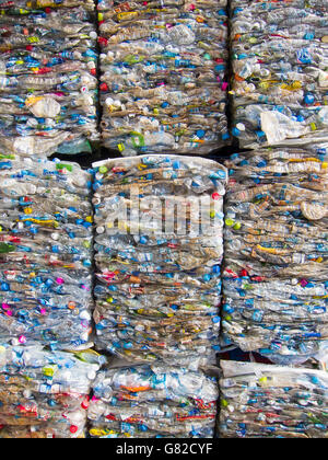 Full Frame shot d'écraser les bouteilles en plastique pour recyclage Banque D'Images