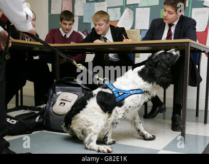 Les chiens renifleurs proposé pour les écoles - High Wycombe Banque D'Images