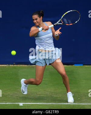 Tennis - 2015 AEGON Classic - deuxième jour - Prieuré d'Edgbaston.Caroline Garcia en France pendant son match contre Tatjana Maria en Allemagne deuxième jour de la Classique AEGON au Prieuré d'Edgbaston, Birmingham. Banque D'Images