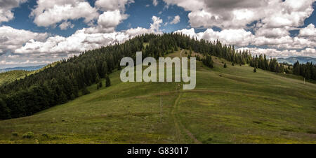 Hala Rycerzowa mountain meadow Wielka Rycerzowa avec hill et ciel bleu avec des nuages dans les montagnes de Beskid Zywiecki Banque D'Images