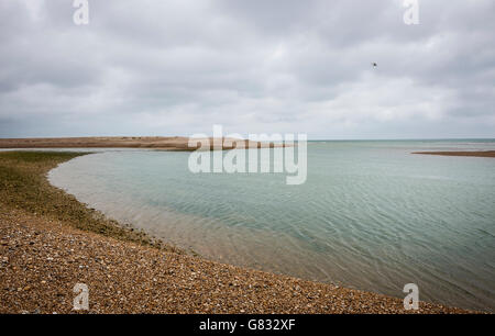 Le Shingle Spit à l'entrée de Pagham Harbour près de Chichester, West Sussex, UK Banque D'Images