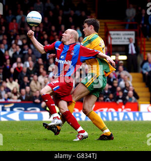 Soccer - FA Barclays Premiership - Crystal Palace v Norwich City - Selhurst Park Banque D'Images