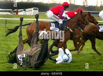 Horse Racing - Obstacle champion écossais - Ayr Racecourse Banque D'Images