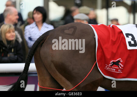 Détail de la forme du coeur sur Medicine Hat avant le Betfred 'six Best Odds races Daily' Victor Ludorum Juvenile Harridle Race le jour de Valentines pendant la journée de procès nationale de Betfred Grand à l'hippodrome de Haydock Park. Banque D'Images