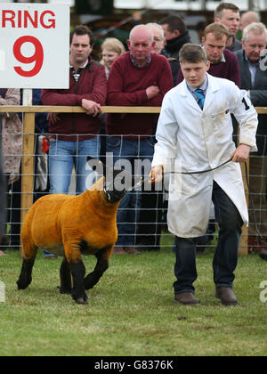 Royal Highland Show Banque D'Images