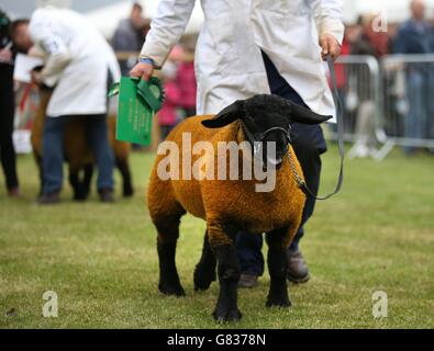 Royal Highland Show Banque D'Images