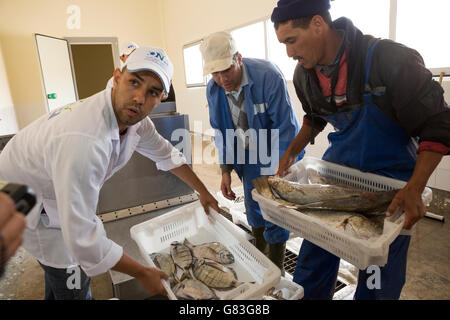 Achat et vente des travailleurs des fruits de mer et poissons aux enchères à Tifnit, près d'Agadir, au Maroc. Banque D'Images