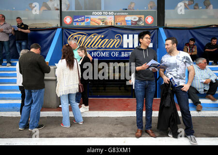 Greyhound Racing - William Hill Derby - semi-finales - Wimbledon Stadium. Les Racegoers attendent que l'action démarre Banque D'Images