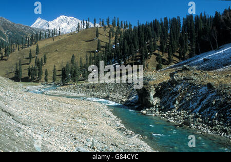 Sonmarg et la vallée de la rivière Sind, au Cachemire, en Inde Banque D'Images