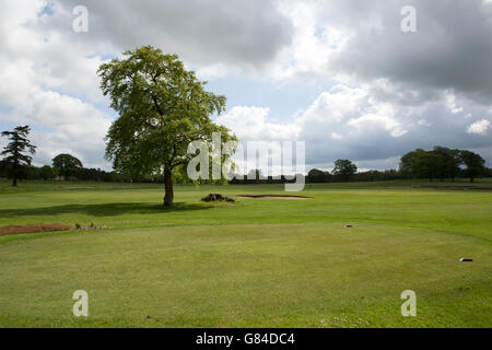 Matfen Hall Golf dans le Northumberland, en Angleterre. Banque D'Images