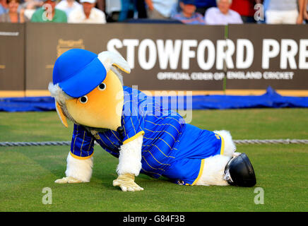 La mascotte de Wimbledon Haydon la danse de Womble pendant le derby de mascotte qui a eu lieu pendant l'intervalle Surrey contre Middlesex. Banque D'Images