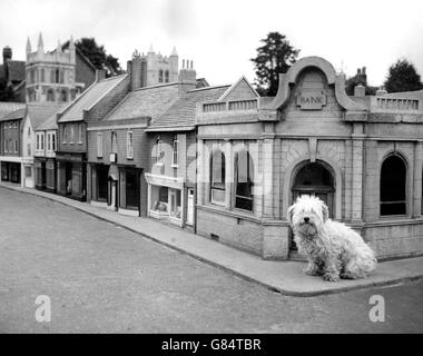 Penny - le chien est grandeur nature - devant des répliques modèles détaillées de Wimborne Minster, construit à une échelle d'un dixième, et en démonstration près du centre-ville de Dorset. Banque D'Images