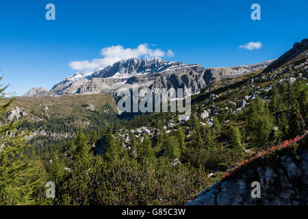 Vue sur les Dolomites de Brenta ; Val Rendena Trentin-Haut-Adige en Italie. Banque D'Images