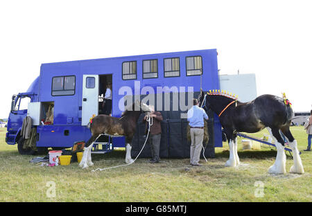 Essex Heavy Horse Show - London Banque D'Images