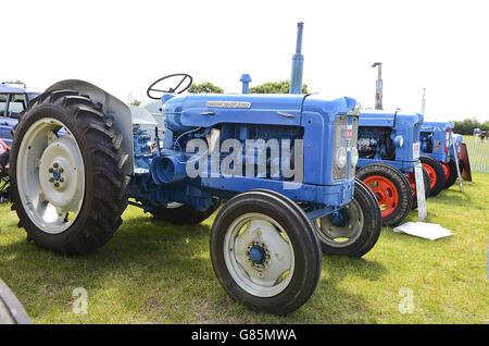 Des tracteurs classiques au salon Essex Heavy Horse au terrain d'exposition d'Orsett, dans l'Essex. APPUYEZ SUR ASSOCIATION photo. Date de la photo: Dimanche 2 août 2015. Le crédit photo devrait se lire comme suit : Ian West/PA Wire Banque D'Images