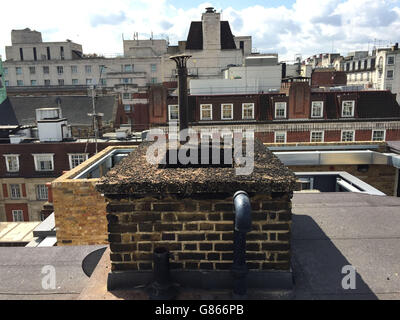 Le toit d'un immeuble de sept étages dans la Great Cumberland place, dans le centre de Londres, où un homme est mort après avoir tombé dans une cheminée. Banque D'Images