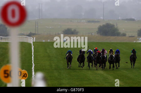 Coureurs et cavaliers pendant le week-end des champions irlandais de Longines Maiden pendant le deuxième jour du week-end des procès des champions irlandais de Longines au champ de courses de Curragh, Kildare. Banque D'Images