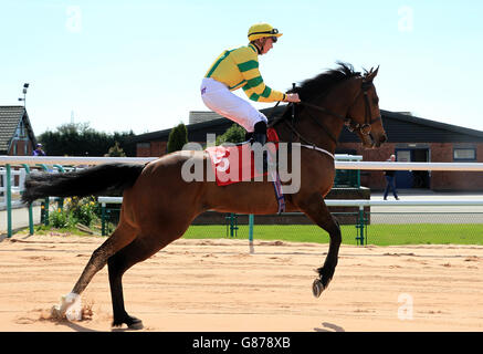 Les courses de chevaux - Southwell Racecourse Banque D'Images