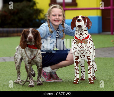 Sprocker Spaniel Sully et Ella Harvey, propriétaire de 8 ans, avec le double LEGO exact de Sully qui a été fabriqué après avoir été nommé le meilleur animal de compagnie du Royaume-Uni au LEGOLAND Windsor Resort. Banque D'Images