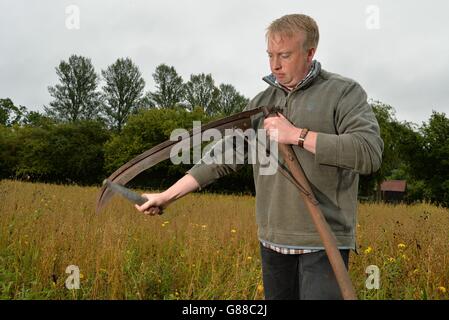 Tom Normandale, chargé de projet de Cornfield Flowers, aiguise son cythe avant de récolter la taille haute de graines de fleurs sauvages rares au Ryedale Folk Museum, Hutton le Hole, North Yorkshire. Banque D'Images