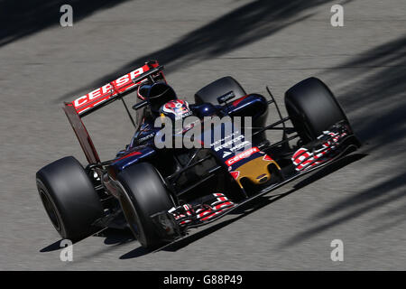 Courses automobiles - Championnat du monde de Formule 1 - Grand Prix d'Italie 2015 - course - circuit de Monza.Le Max Verstappen de Torro Rosso lors du Grand Prix d'Italie 2015 à Monza, en Italie. Banque D'Images