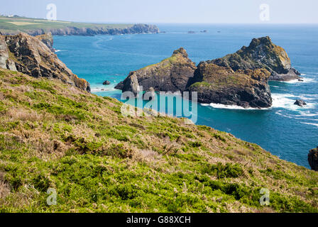 Paysage côtier, près de Kynance Cove, péninsule du Lézard, Cornwall, England, UK Banque D'Images