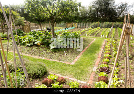 Au potager jardin potager, Constantine, Cornwall, England, UK Banque D'Images