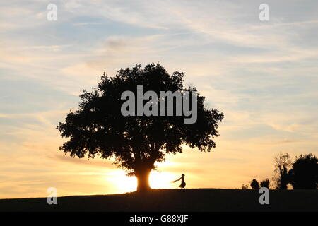 Silhouette d'une femme debout par arbre au coucher du soleil, Niort, France Banque D'Images