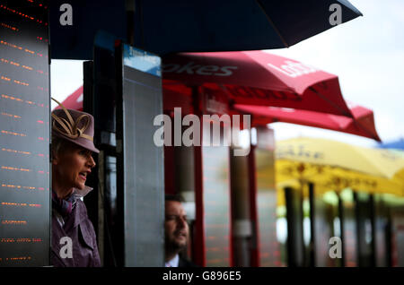 Courses hippiques - week-end des champions irlandais de Longines - première journée - Hippodrome de Leopardstown.Avant la première course pendant le premier jour du week-end des champions irlandais de Longines à Leopardstown, Dublin, Irlande. Banque D'Images