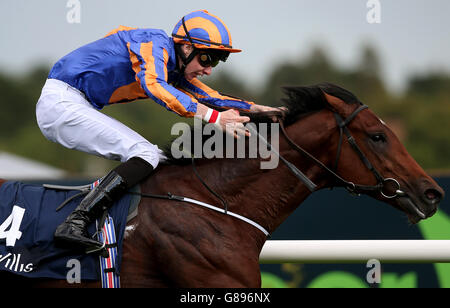 Les courses de chevaux - Longines Champions irlandais Week-end - Jour 1 - l'hippodrome de Leopardstown Banque D'Images