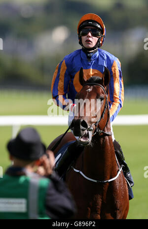 Johannes Vermeer est monté par Joseph O'Brien après avoir remporté les enjeux pour mineurs des champions de Willis lors du premier jour du week-end des champions irlandais de Longines à Leopardstown, Dublin, Irlande. Banque D'Images