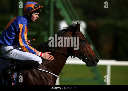 Les courses de chevaux - Longines Champions irlandais Week-end - Jour 1 - l'hippodrome de Leopardstown Banque D'Images